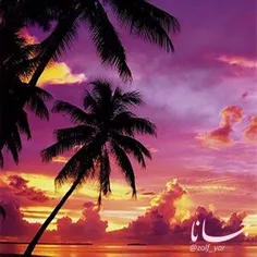 شب را چه گنه