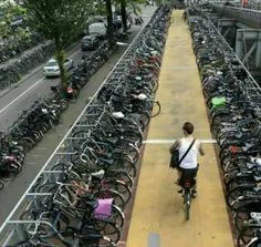 هلند 16,250,000 نفر جمعیت و 16,000,000 دوچرخه دارد، 99.91