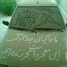 ما خاکیان جدا از آب 