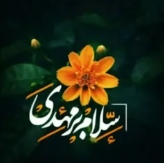 سلام یا مهدی