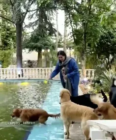 کافه سگ ها در جمهوری اسلامی با مجوز رسمی