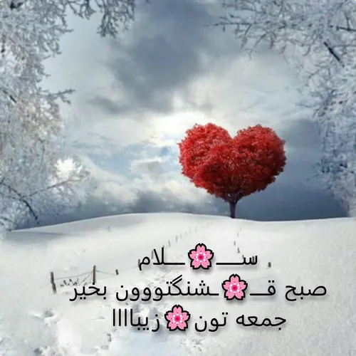 ســــــ🌸 ـــــلام