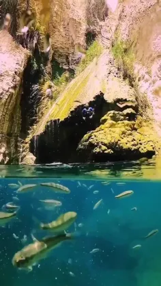 استان بوشهر، آبشار درزو 🐠🏞