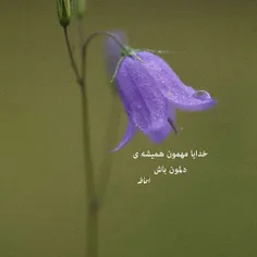 خدایا مهمون همیشه ی دلمون باش