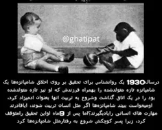 اینم قشنگه