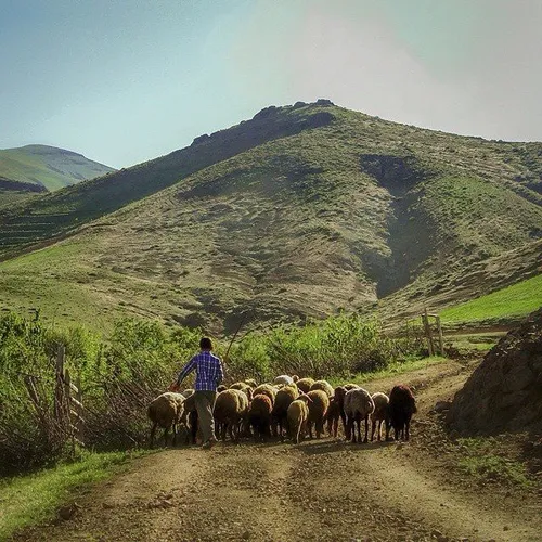 Picturesque nature of Kermanshah, Iran. Photo by Nima Moh