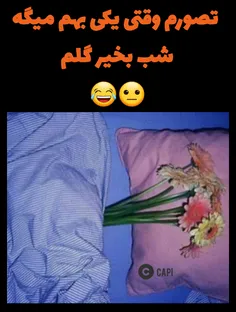 شب بخیر لورا😴 🖐