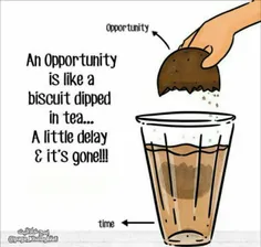 فرصت ها مانند بیسکویتی هستند که با چای خیسش میکنیم
