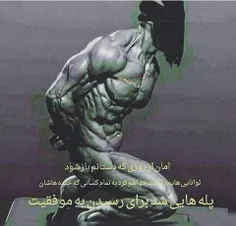 ناله اگر که برکشم