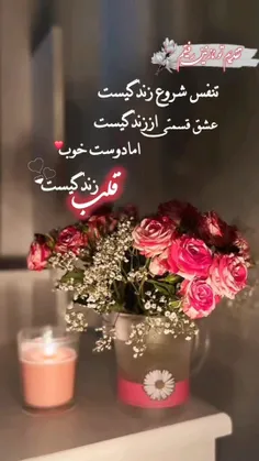 دوست خوب نعمتیه که خدا برا همه نمیده❤️