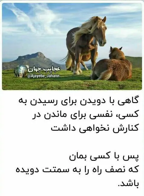 عکس خبری ali14521 28869357 - عکس ویسگون