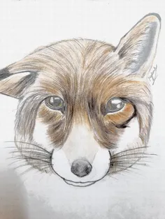 از نقاشیام براتون بگم❤ ️         #روباه