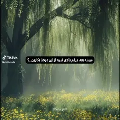 میشه؟؟