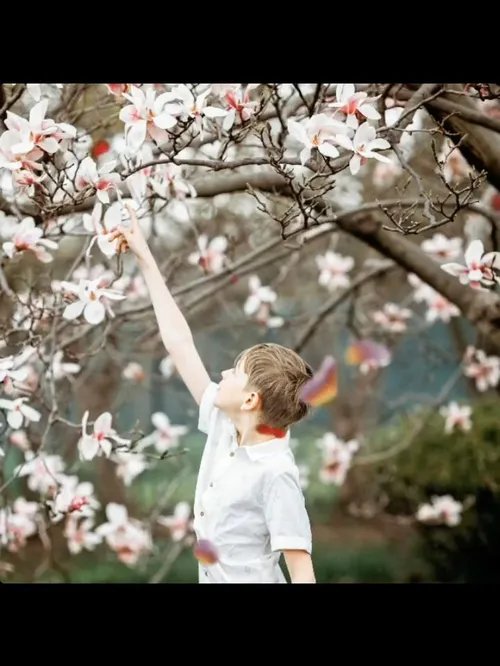 زندگی ساختنی است نه ماندنی🌸