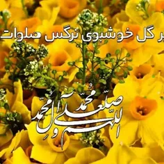 ‍ 🌼بر مهدی دین منجی دنیا صلوات