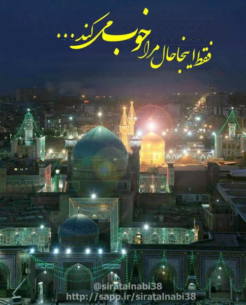 🕊 ألسَّلٰامُ عَلَیکَ یٰا عَلی اِبنِ موسَی أَلرّضٰآ أَلمُر