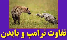 پاسخ به شبهات سیاسی