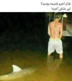 لایک=فاتحه برا جناب شاش آخر😂😂