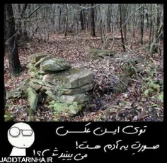 توی این عکس یه صورته