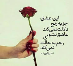 عشق اغاز بی فرجام