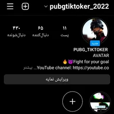 pupg_tiktoker 41307141