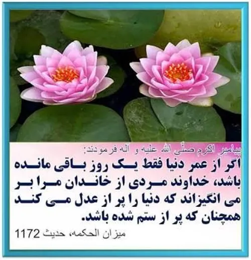 امام علی ع