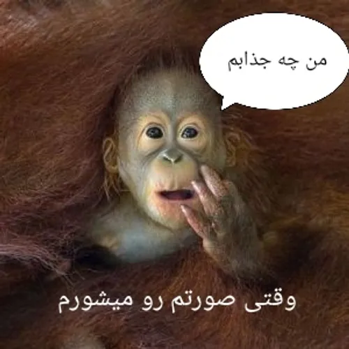 هر کی قبول داره لایک کنه🐘💅