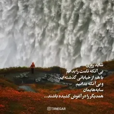 السلام علیک یاشریک القرآن