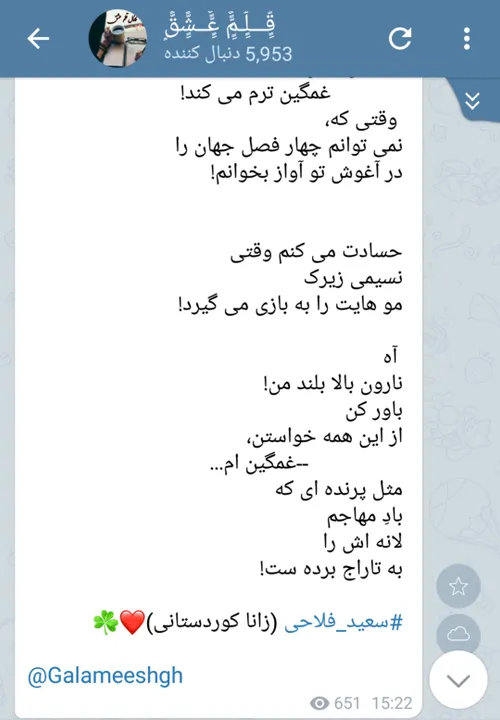 سعید فلاحی