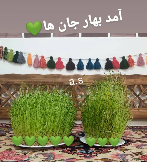 آمد بهار جان ها