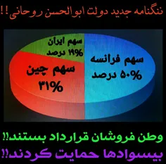 ننگنامه ابوالحسن روحانی😟