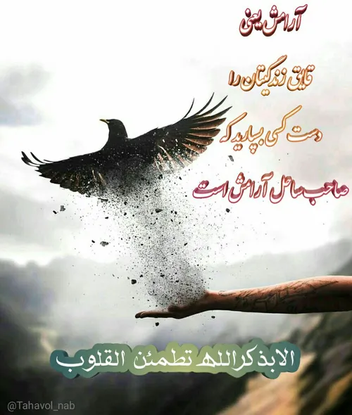 آرامش یعنی🌺 🍃