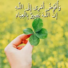 ☘ هروقت که دستت از