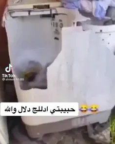 خوش دلال