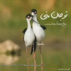 عاشقانه ها saniinas 25839615