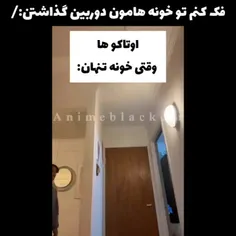 من همیشه کلمه کنی رو میگم