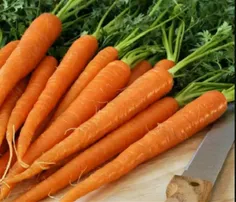خواص هویج برای سلامتی 