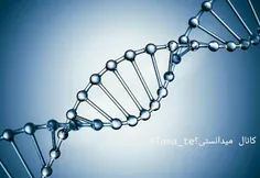 اگر بخواهیم تنها یک گرم از DNA انسان را روی سی دی بارگذار
