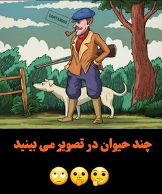 اون کله پوکتو بکار بنداز و بگو😂