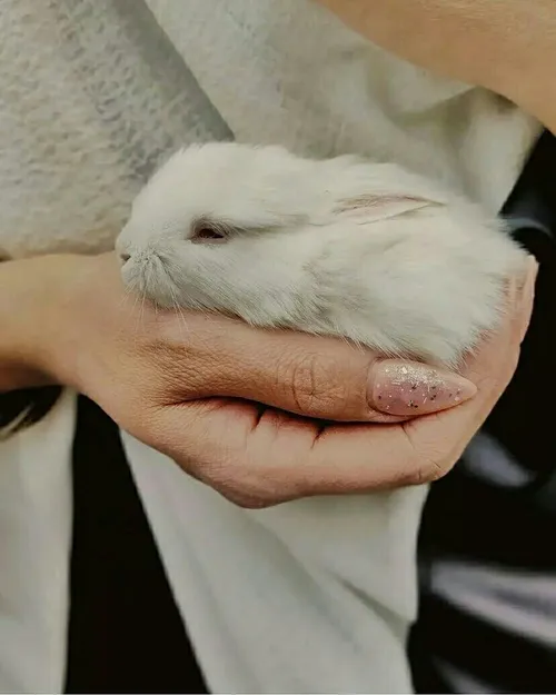 یکروز کسی می آید...👌❤🍀