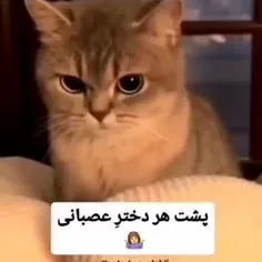 mersana95y 73990536