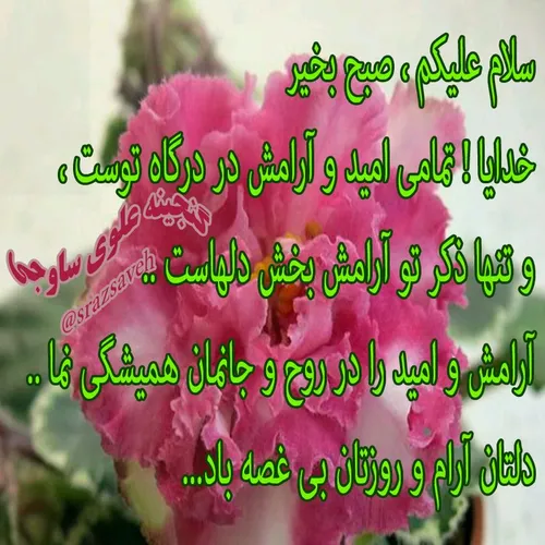 سلام علیکم ، صبح بخیر