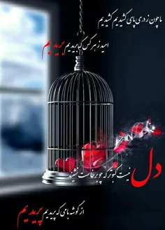 گوناگون zeinab77abadan 10892573