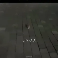 میولات🐈😂