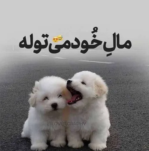 بدون مخاطب