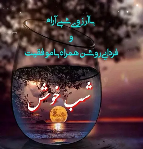 گوناگون mahdireza179 33860833 - عکس ویسگون