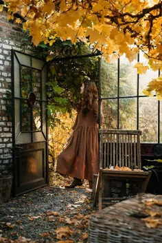 آخرین  بار که دیدمت پاییز 