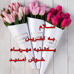 سلام به اخرین یکشنبه