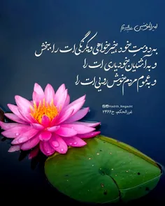 کلام مولا علی