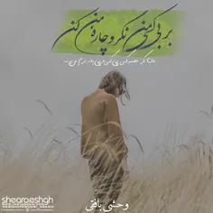 وحشی بافقی